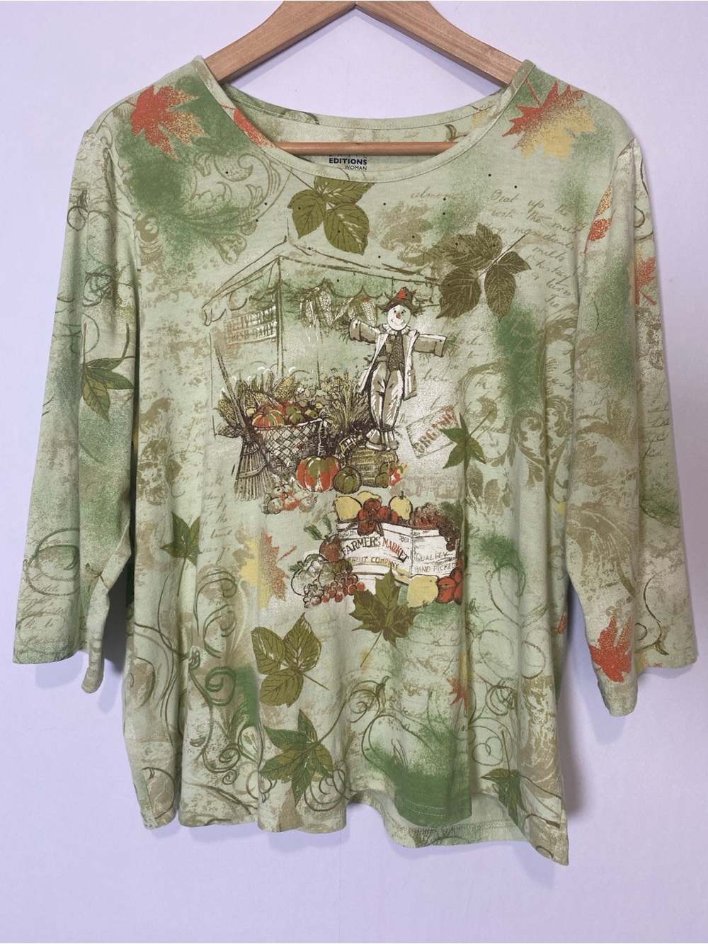 Basic Editions Woman Fall Harvest Scarecrow Graphic Top Cottagecore Green 1X